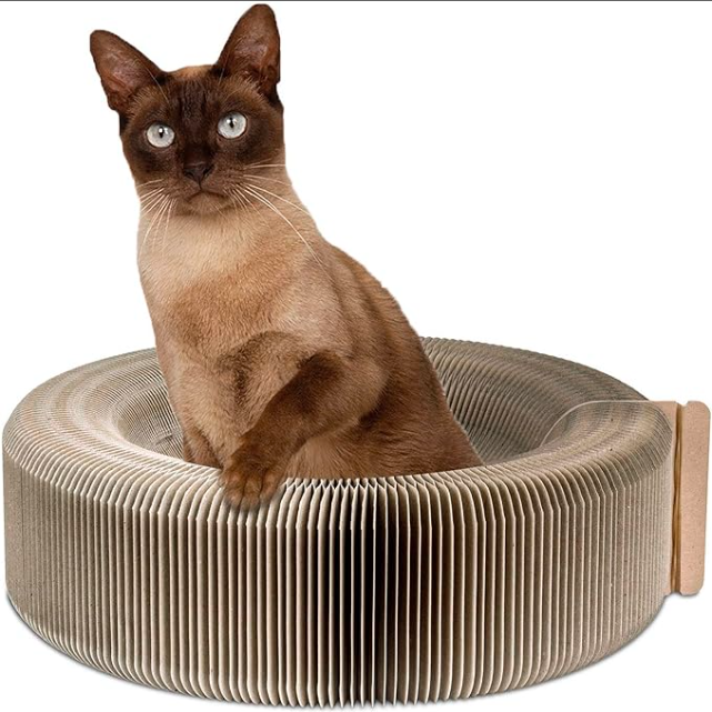 Cat Scratching Board Toy