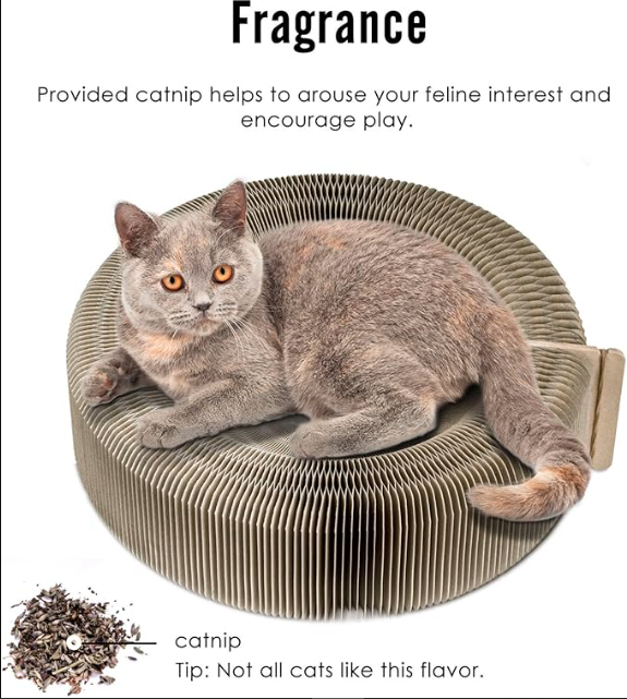 Cat Scratching Board Toy